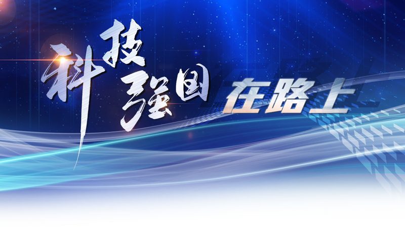 网络安全产品代理加盟，如何选择合适的分成比例？**